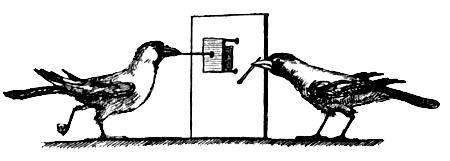 Я познаю мир. Поведение животных