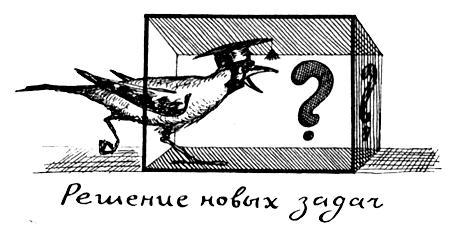 Я познаю мир. Поведение животных