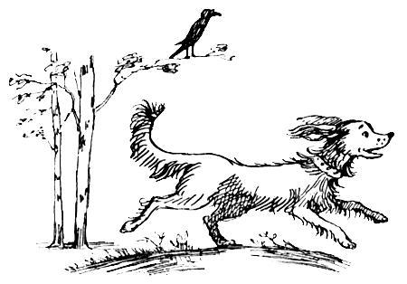 Я познаю мир. Поведение животных