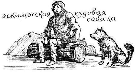 Я познаю мир. Поведение животных