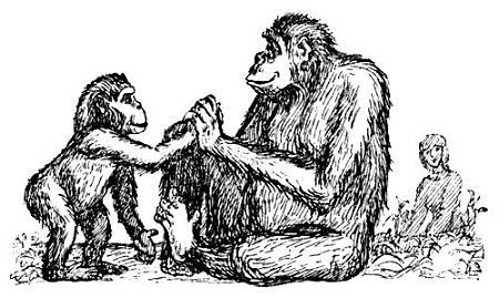 Я познаю мир. Поведение животных