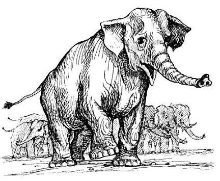 Я познаю мир. Поведение животных