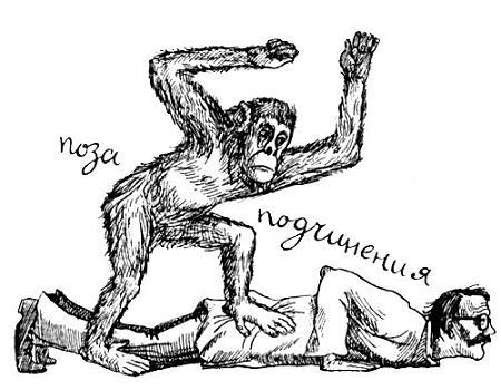 Я познаю мир. Поведение животных