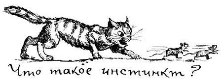 Я познаю мир. Поведение животных