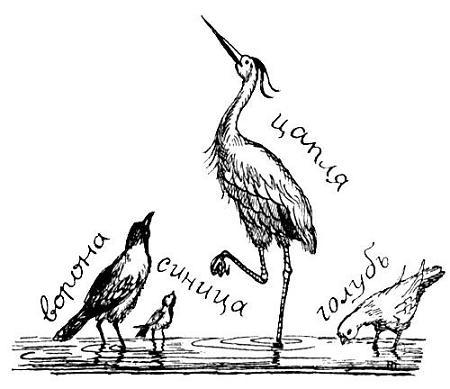 Я познаю мир. Поведение животных