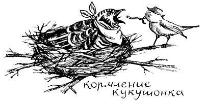 Я познаю мир. Поведение животных