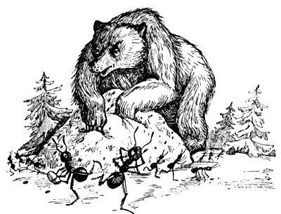 Я познаю мир. Поведение животных