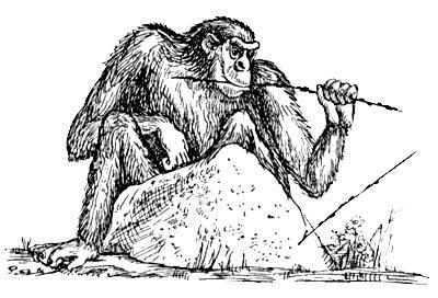 Я познаю мир. Поведение животных