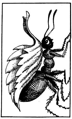 Я познаю мир. Поведение животных