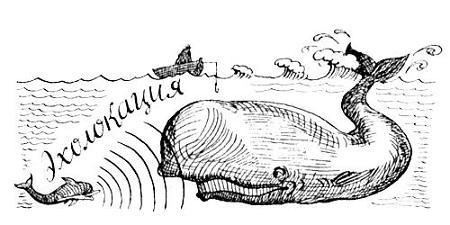 Я познаю мир. Поведение животных