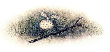 Ёжик в тумане (сказка) узелочек