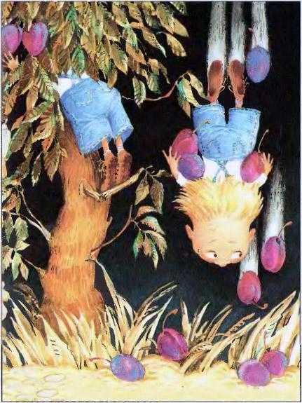 Задачки про маленьких девочек и мальчиков Задачки про маленьких девочек и мальчиков