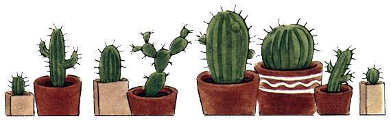 Задачник по математике кактусы