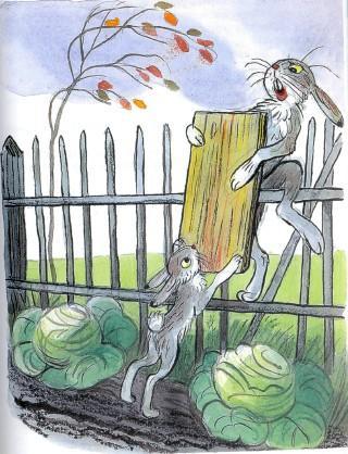 Сказка: Зайка- траву поедайка и его семья (иллюстрации: Сутеев В.) зайцы в огороде делят доску капуста