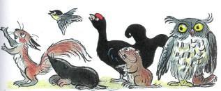 Сказка: Зайка- траву поедайка и его семья (иллюстрации: Сутеев В.) звери животные