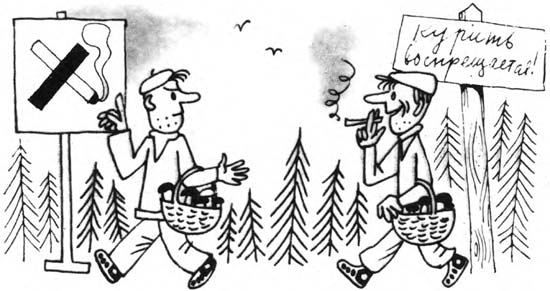 Занимательная стандартизация