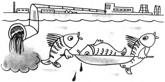 Занимательная стандартизация