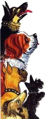 Засыпайка в Таллинне (повесть) img 43