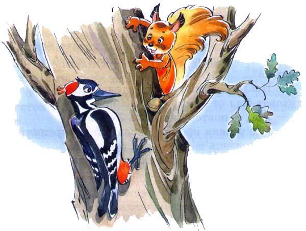 белка Ленка дятел и орешек
