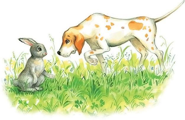 Заяц и гончая собака