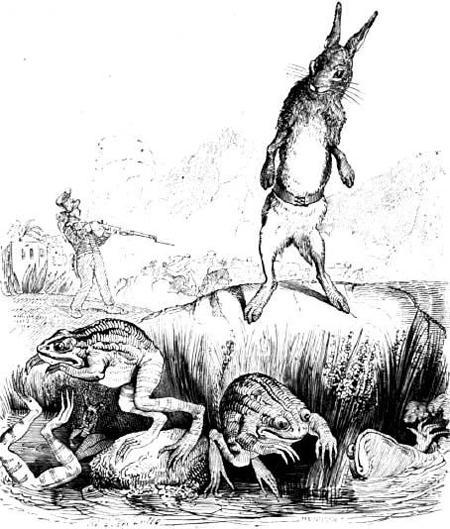 Заяц и лягушки (басня) Заяц и лягушки
