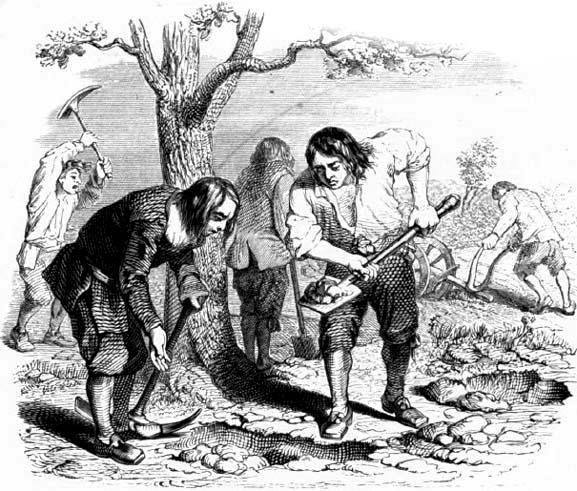 Земледелец и его сыновья (басня) Земледелец и его сыновья