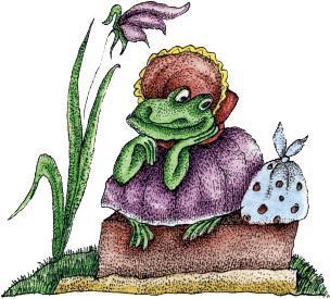 Жаба-торопыга Жаба-торопыга