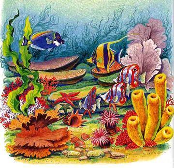 морские жители