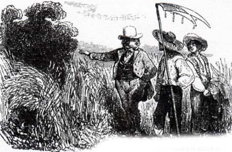 Жаворонок с птенцами и землевладелец