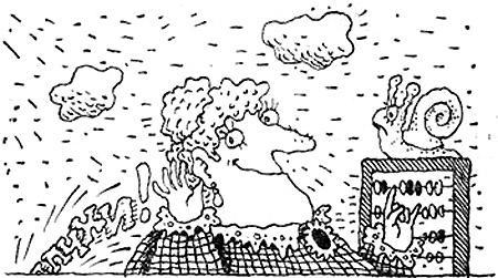 Женщина, которая считала «апчхи!»