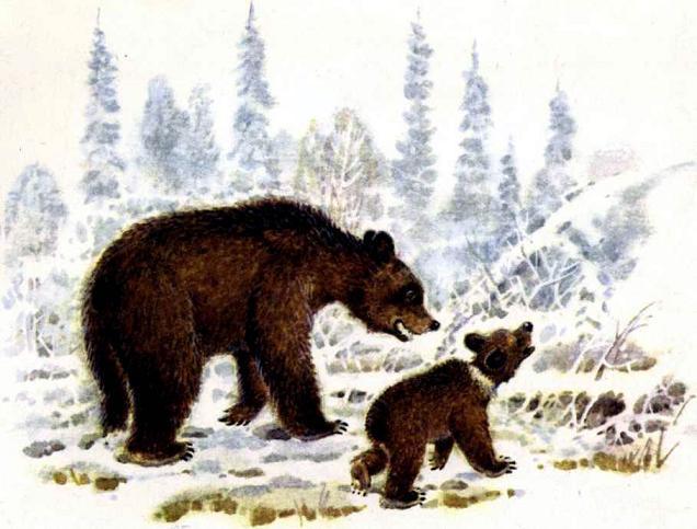 медведица и медвежонок зима