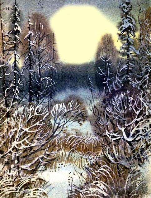 зимний лес вечер