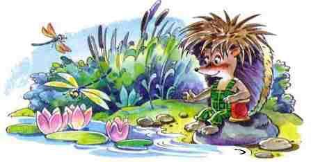 ёжик на берегу