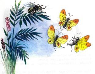 бабочки жужули