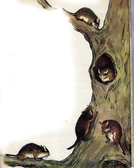 Зимнее летечко: Невидимки 1