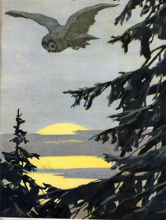 Зимнее летечко: Невидимки сова