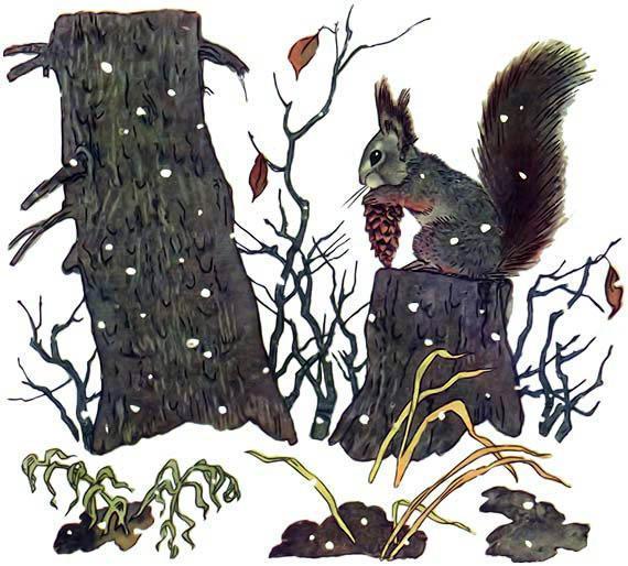 Зимой и летом белка Зимой