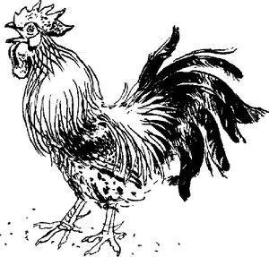 Зимовье на студеной Зимовье на студеной