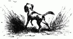 Тюрлюретта