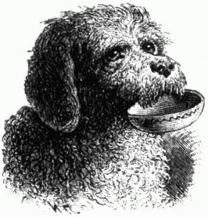 пёс Батисто