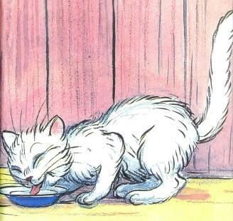 Сказка: Знаменитый утенок Тим (иллюстрации: Сутеев В.) белый кот снежок ест пьет молоко