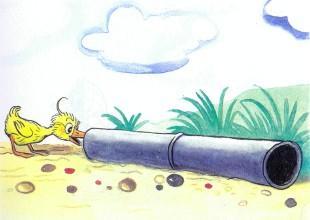 утенок заглядывает в трубу