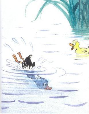 тим утенок черный ныряет в воду