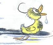 грязный утенок в воде