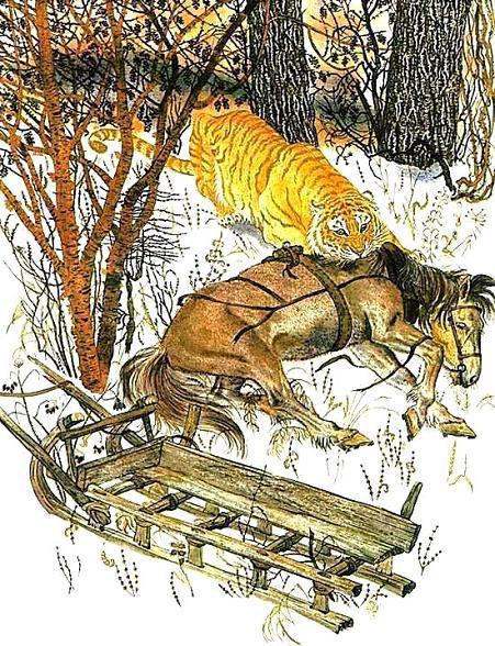 Тигрица Ригма загрызла поймала лошадь