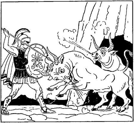 Золотое Руно Золотое Руно