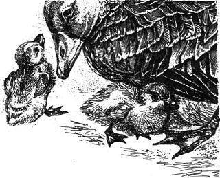 Золотой гусёнок (сказка Дика Кинга-Смита) Золотой гусёнок