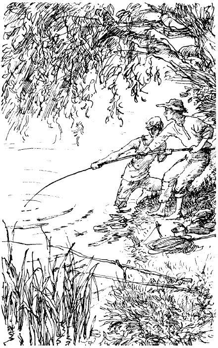 Золотой линь 04