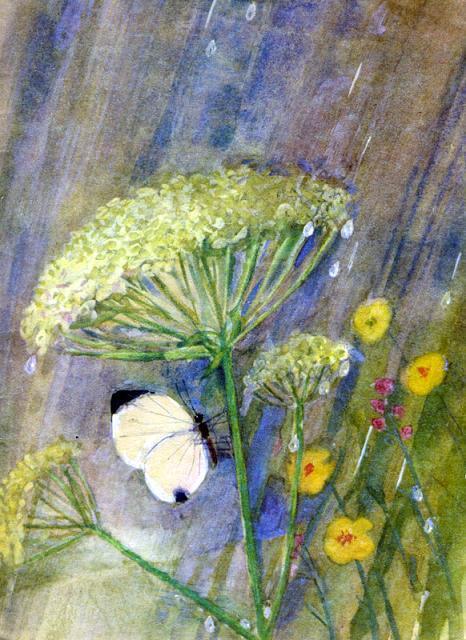 Зонтик (Борщевик) img 16