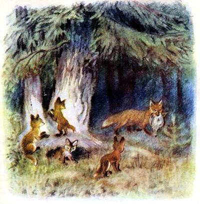 Зоопарк лисята